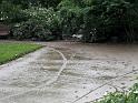 Hochwasser (307)